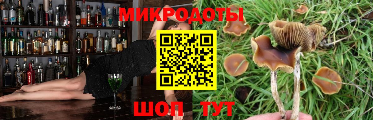 Нефтеюганск  Псилоцибиновые грибы мухоморы  где найти   Вход с VPN 